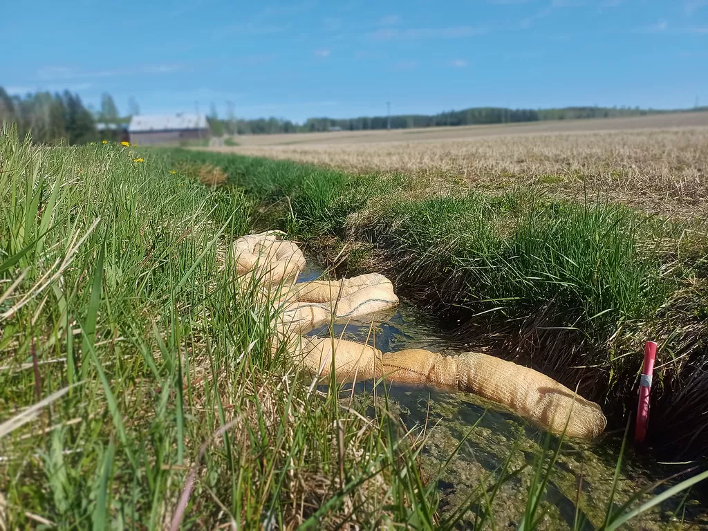 Pitkällä Knaapintien ojassa on tällainen koukero.